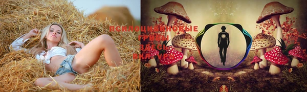 меф Алексеевка